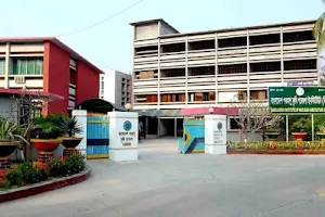 Bangladesh Institute of Nuclear Agriculture (BINA) image