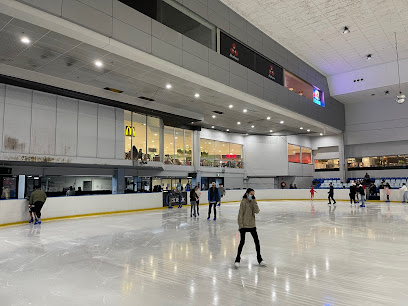 Ice skating rink