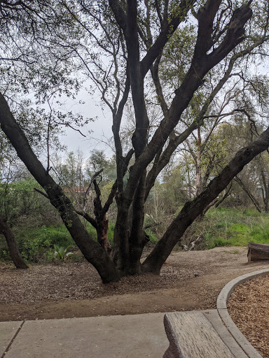 Park «Arcade Creek Park Preserve», reviews and photos, 6377 Bonham Cir, Citrus Heights, CA 95610, USA