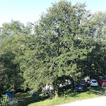 Photo n°14 de l'avis de marco.a fait le 30/08/2018 à 09:31 sur le  Agriturismo Cornacchino Viaggi e Vacanze a Cavallo e non solo à Castell'Azzara