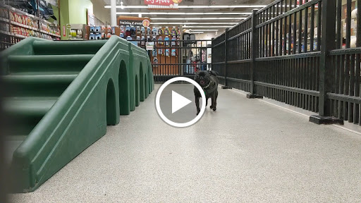 Pet Supply Store «Pet Food Express», reviews and photos, 4220 Long Beach Blvd, Long Beach, CA 90807, USA