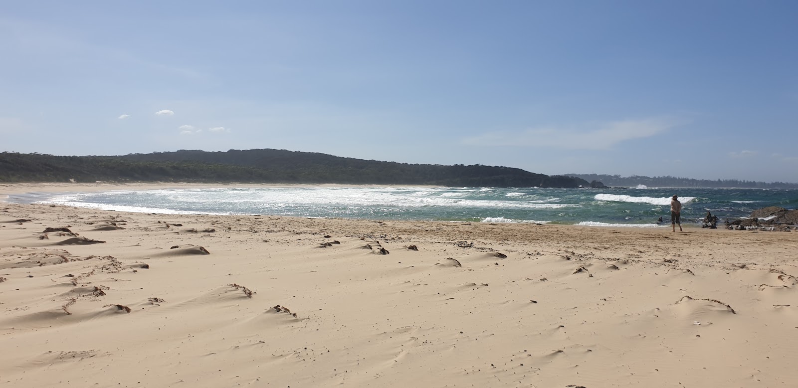 Photo de Potato Point Beach avec rivage droit, long