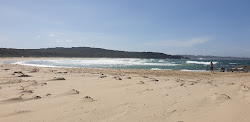 Photo de Potato Point Beach avec rivage droit, long
