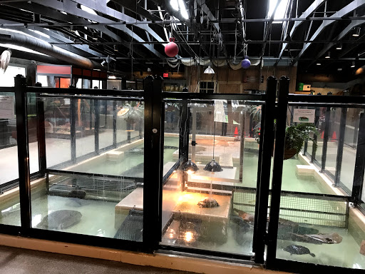 Zoo «Phillips Park Zoo», reviews and photos, 1000 Ray Moses Dr, Aurora, IL 60505, USA