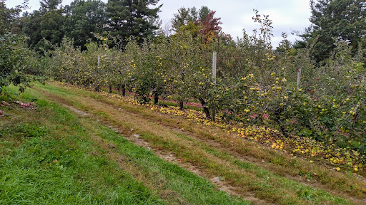 Orchard «George Hill Orchards», reviews and photos, 582 George Hill Rd, South Lancaster, MA 01561, USA