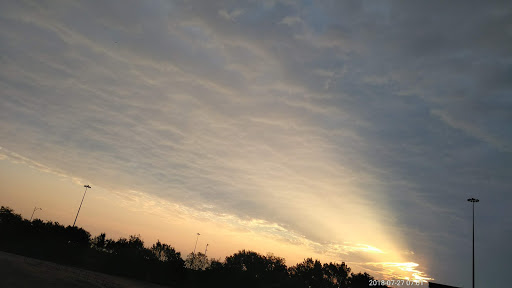 Manufacturer «Dollamur Sport Surfaces», reviews and photos, 1734 E El Paso St, Fort Worth, TX 76102, USA