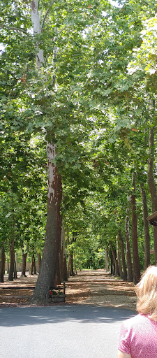 Wine Store «Nassau Valley Vineyards-Winery», reviews and photos, 32165 Winery Way, Lewes, DE 19958, USA