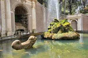 Fontana Dei Draghi image