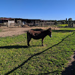 Photo n°11 de l'avis de AND. fait le 06/01/2020 à 14:45 sur le  May Valley Farm - B & B Restaurant Roman Cuisine à Anzio