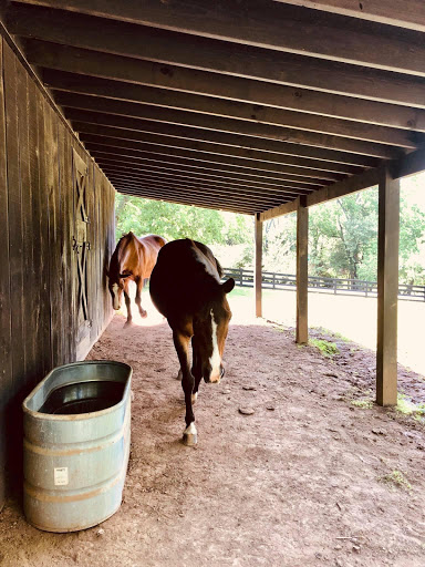 Event Venue «Belle Meade Plantation», reviews and photos, 5025 Harding Pike, Nashville, TN 37205, USA