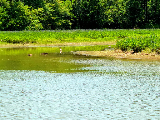 National Park «Chickamauga & Chattanooga National Military Park», reviews and photos, 3370 Lafayette Rd, Fort Oglethorpe, GA 30742, USA