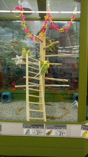 Pet Supply Store «Petco Animal Supplies», reviews and photos, 125 Lincoln Hwy, Exton, PA 19341, USA