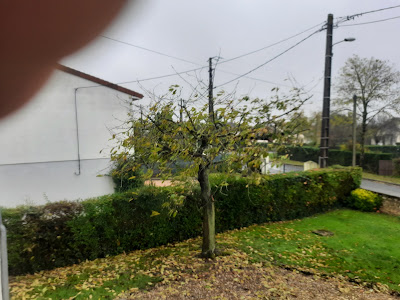 ENTREPRISE BS Elagage & Jardinier à Châtellerault