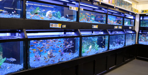 Pet Store «B & B Pet Stop, Inc.», reviews and photos, 5035 Cottage Hill Rd, Mobile, AL 36609, USA