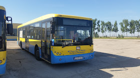 Trans Bus