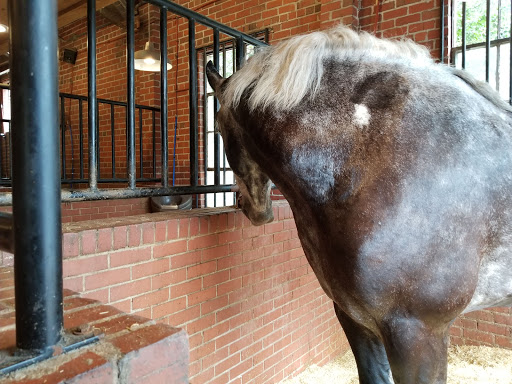 Historical Landmark «Historic Charleston City Market», reviews and photos, 188 Meeting St, Charleston, SC 29401, USA
