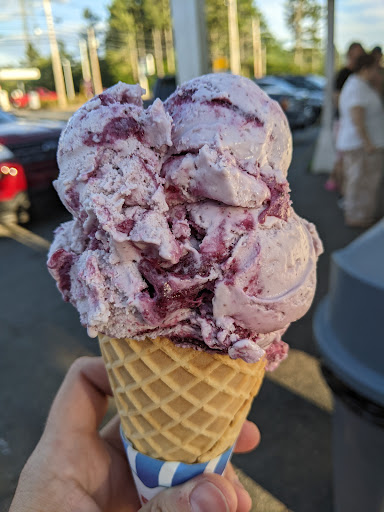 Ice Cream Shop «Blueberry Hill Dairy Bar», reviews and photos, 355 High St, Ellsworth, ME 04605, USA