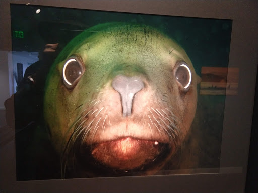 Art Museum «The Island Museum of Art», reviews and photos, 540 Spring St, Friday Harbor, WA 98250, USA