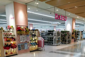 DAISO image