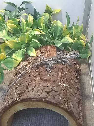 Pet Supply Store «Pet Supplies Plus», reviews and photos, 5555 Youngstown Warren Rd, Niles, OH 44446, USA