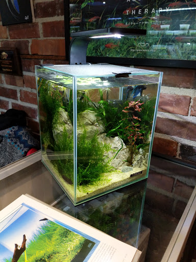 Tropical Fish Store «Aquarium Zen», reviews and photos, 920 NE 64th St, Seattle, WA 98115, USA