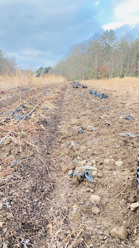 Farm «Langwater Farm», reviews and photos, 209 Washington St, North Easton, MA 02356, USA