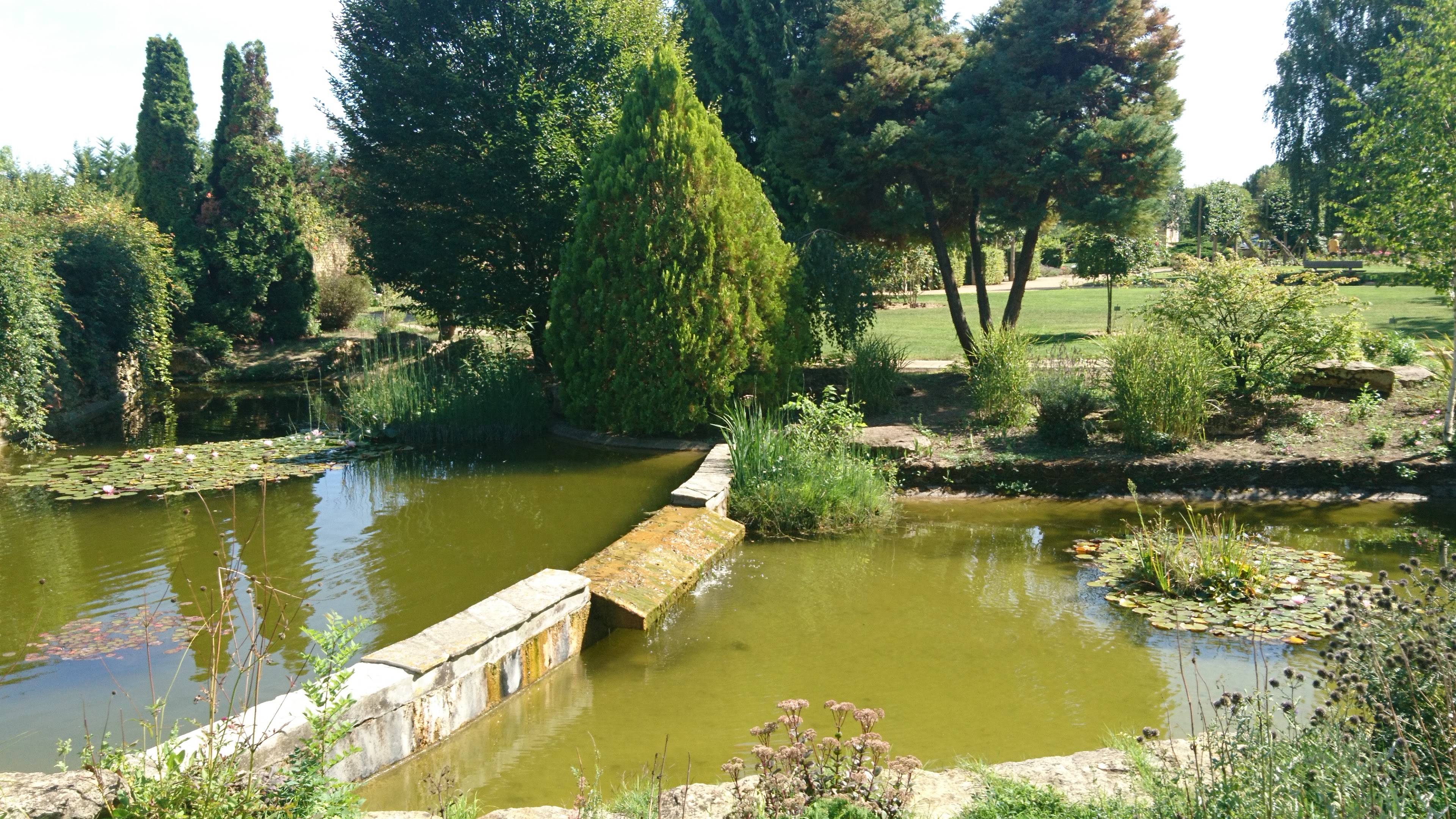 Photo n° 23 de l'avis de david.o fait le 23/08/2019 à 15:25