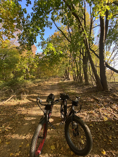 Bicycle Store «Pedego Electric Bikes of Spring Lake», reviews and photos, 217 Jersey Ave, Spring Lake, NJ 07762, USA