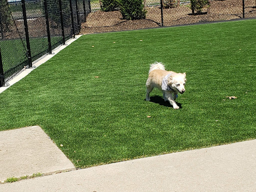 Dog Park «Eisenhower Dog Park», reviews and photos, 576 Salisbury Park Dr, Westbury, NY 11590, USA