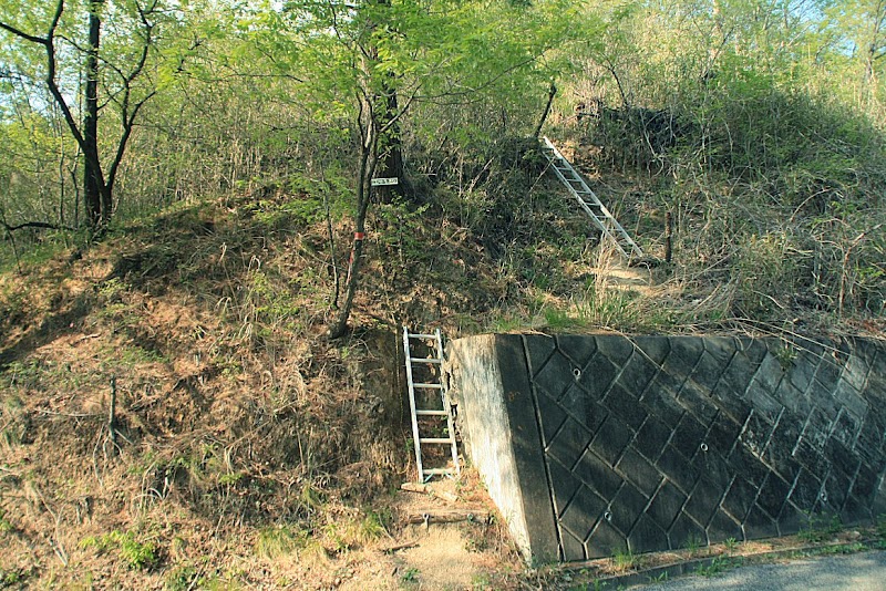 白葉峠