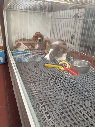 Pet Store «Pets Plus Inc», reviews and photos, 2610 Jefferson Davis Hwy, Stafford, VA 22554, USA