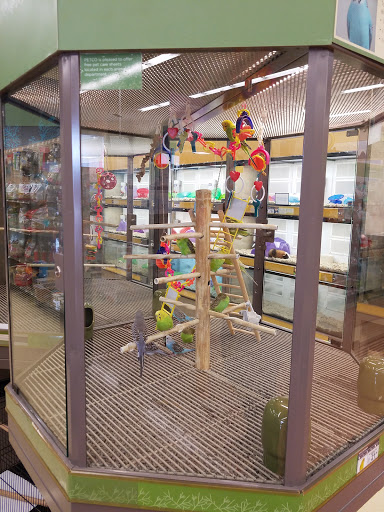 Pet Supply Store «Petco Animal Supplies», reviews and photos, 317 E Trenton Rd, Edinburg, TX 78539, USA