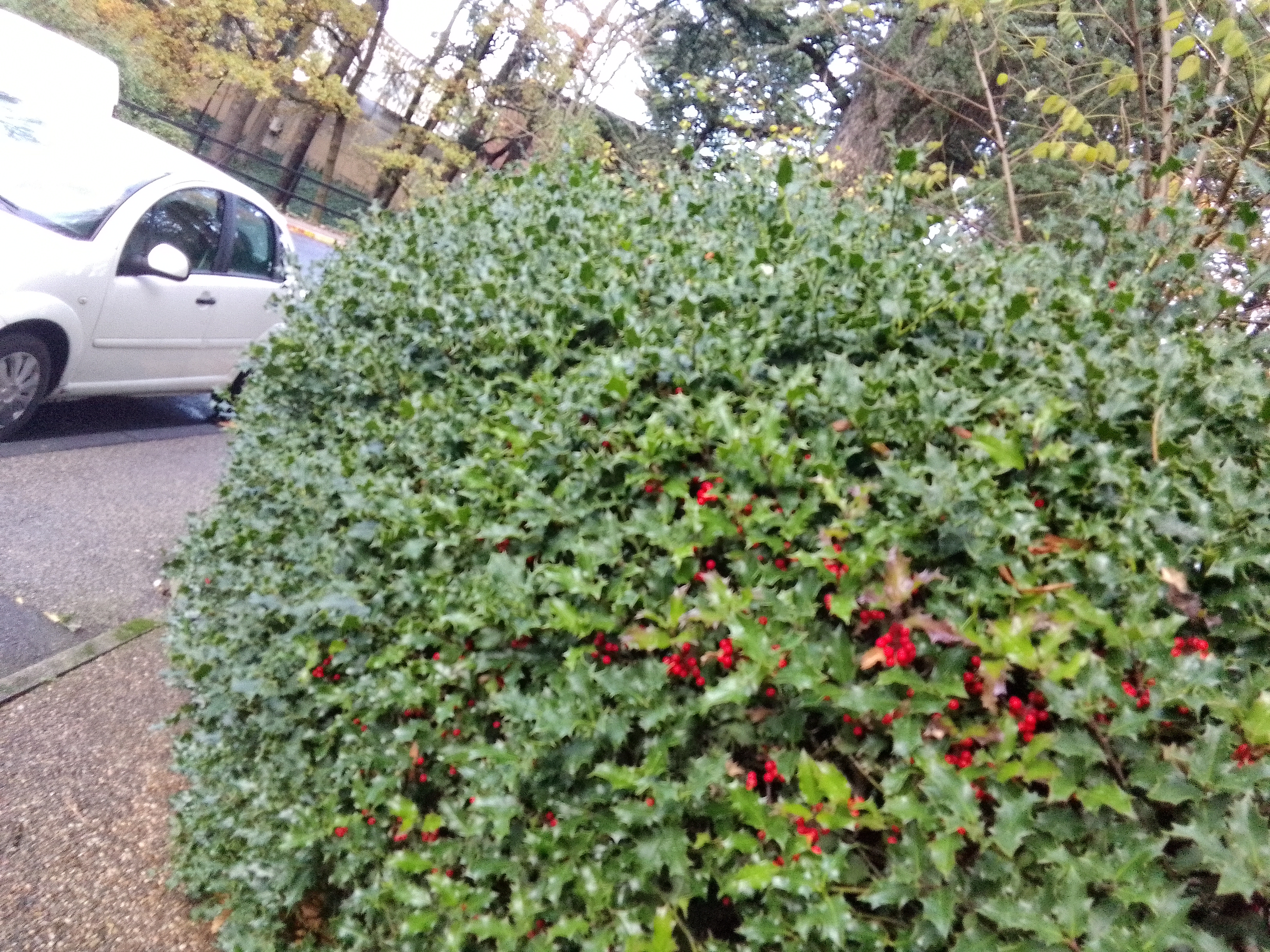 Photo n° 20 de l'avis de Lyson.m fait le 28/11/2023 à 11:34