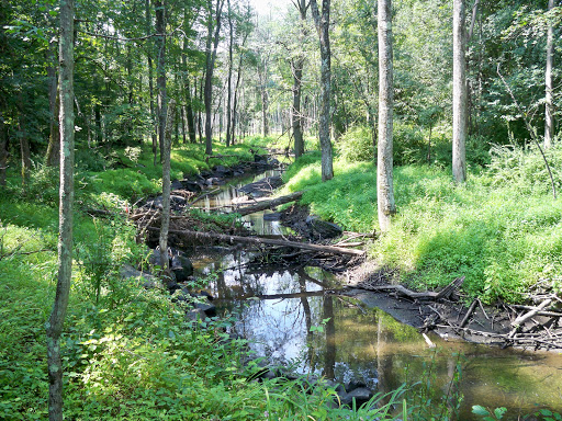 State Park «Highland Lakes State Park», reviews and photos, 55-223 Tamms Rd, Middletown, NY 10941, USA