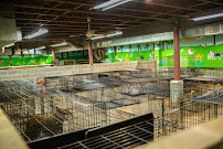 Happy Tails Inc - Photo 5 - Car repair in St Ann, MO, St. Louis