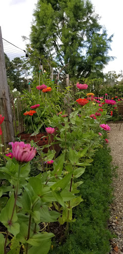 Winery «ThornCreek Winery», reviews and photos, 155 Treat Rd, Aurora, OH 44202, USA