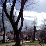 Photo n°4 de l'avis de Girolamo81. fait le 04/04/2024 à 17:04 sur le  Bar Dell'Orso Di Tarquinio Gaetano à Pescasseroli