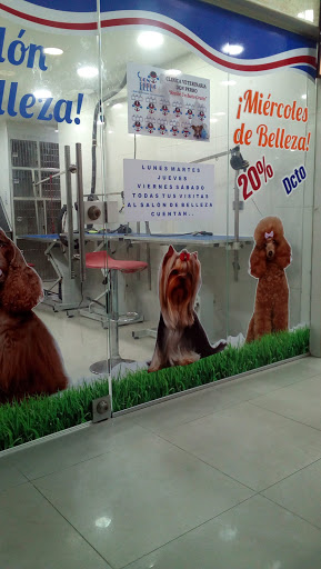 Alojamientos perros Barranquilla