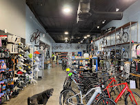 HAWES HOUSE Bike Shop - Photo 9 - Car repair in Mesa, AZ, Mesa