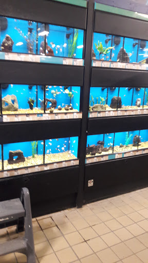 Pet Supply Store «Petco Animal Supplies», reviews and photos, 8010 Wedgewood Ln N, Maple Grove, MN 55369, USA