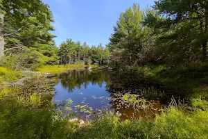 Mass Audubon's Lake Wampanoag Wildlife Sanctuary image