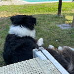 Photo n°3 de l'avis de Pierpo.a fait le 10/08/2022 à 17:22 sur le  Il Casale di Santamettole à Barberino di Mugello