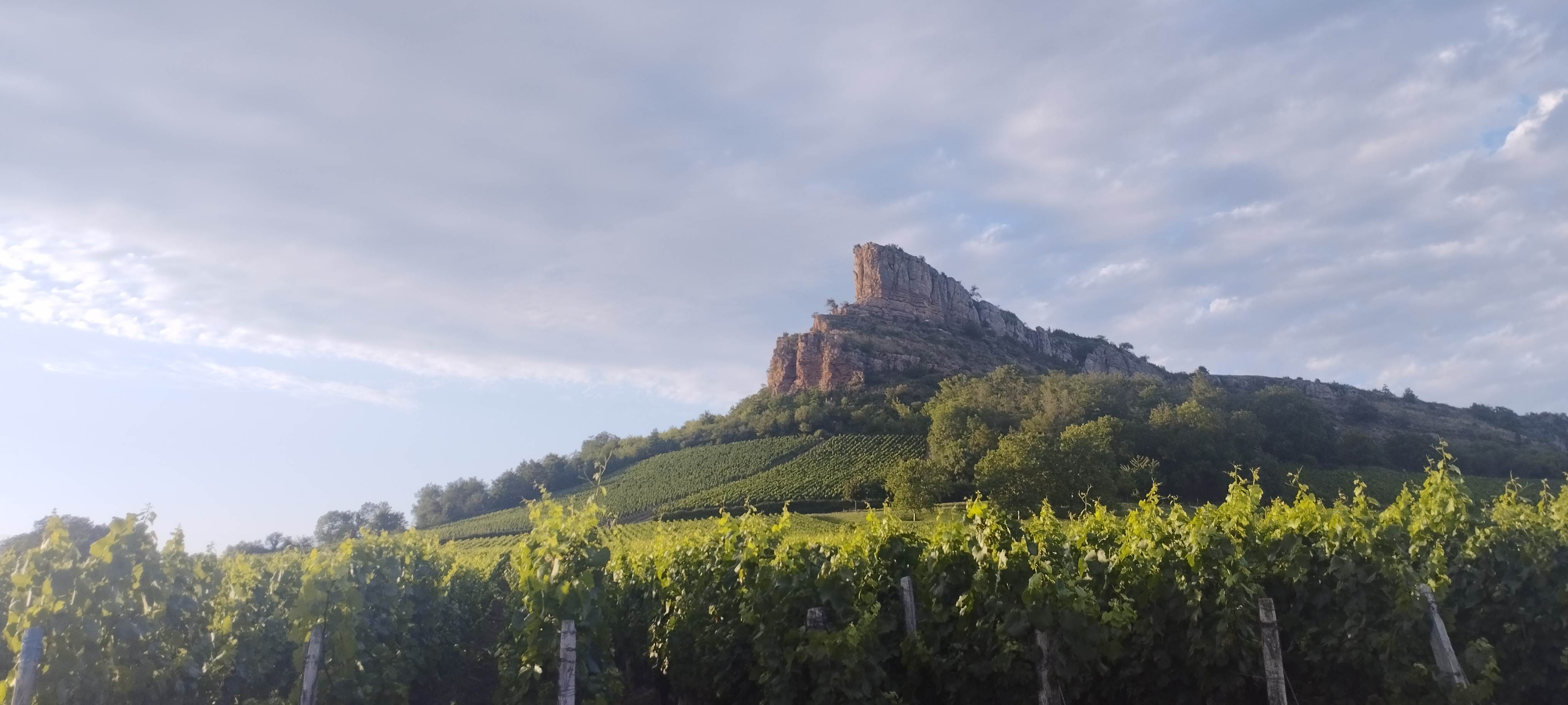 Photo n° 2 de l'avis de Bertrand.a fait le 11/08/2023 à 18:47