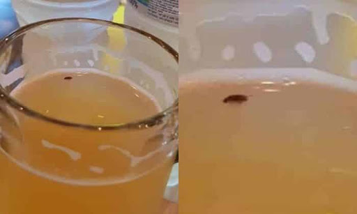 Firestone Walker Brewing Company - The Propagator image