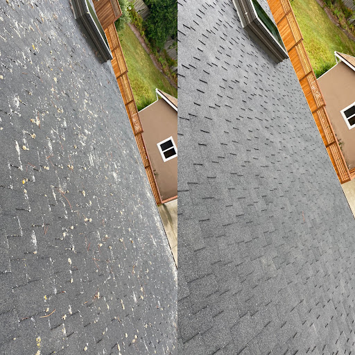 Peninsula Exterior Cleaning image
