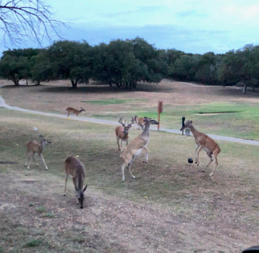 Public Golf Course «Lakeside Golf Club», reviews and photos, 405 Watts Ln, Canyon Lake, TX 78133, USA