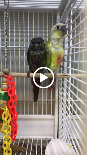 Pet Supply Store «Pet Supplies Plus», reviews and photos, 887 N Lexington-Springmill Rd, Mansfield, OH 44906, USA