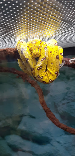 Pet Supply Store «Petco Animal Supplies», reviews and photos, 200 McMahan Blvd, Marion, OH 43302, USA