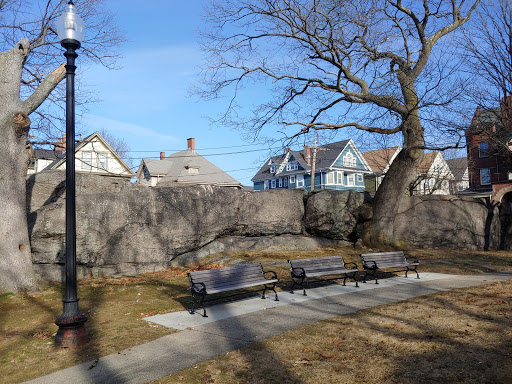 Park «Horatio Harris Park», reviews and photos, 85 Harold St, Boston, MA 02119, USA