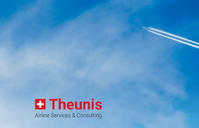 Theunis IT Services & Consulting